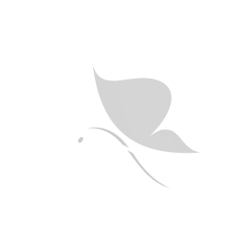 tita logo
